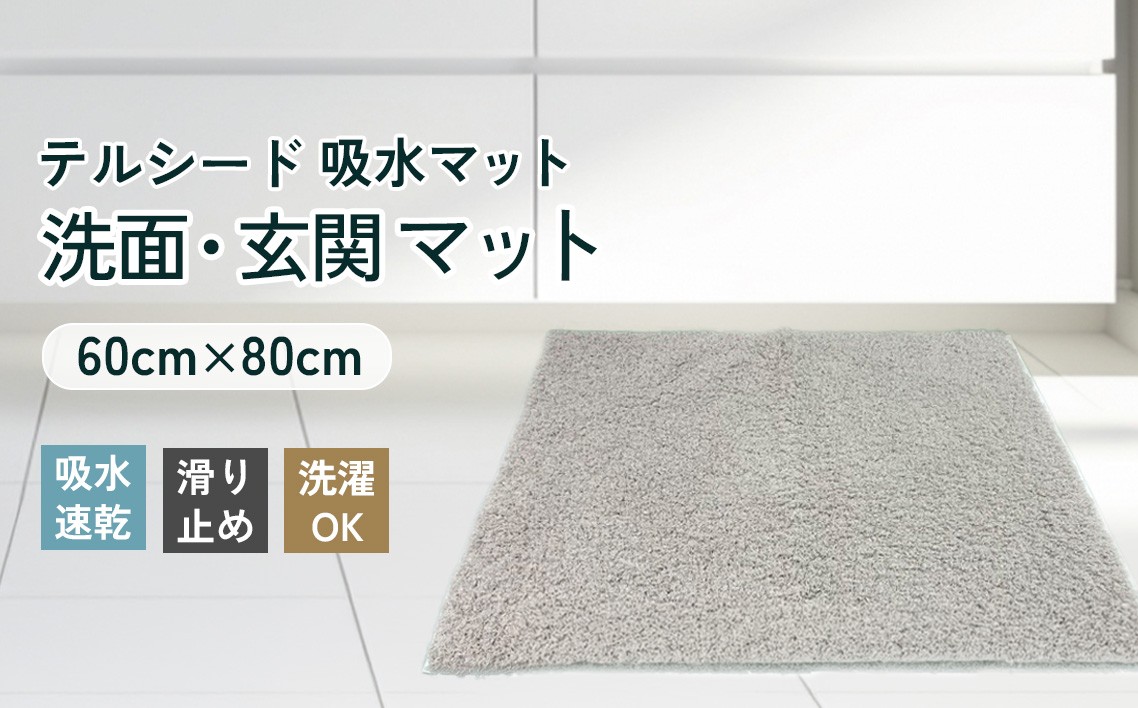 
                  テルシード 吸水マット（洗面・玄関マット） ／ 洗面所 玄関 フロアマット 速乾 足ふき 吸水力 高吸水 さらっと感 速乾マット 滑り止め 洗濯機対応 生活雑貨 日用品 大判マット 大阪府 No.257
                