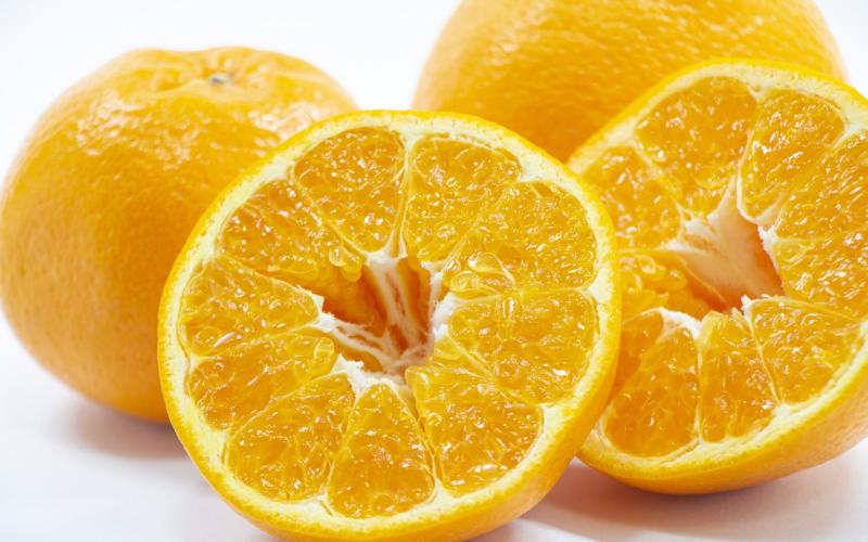 
            【来シーズン先行予約】農家直送  はるみみかん 約5kg S～4Lサイズ混合 ※2026年2月上旬～順次発送農家直送 / くだもの  果実  柑橘 果物 フルーツ 国産 和歌山県 由良町 ご家庭用 人気 おすすめ【nktn012】
          