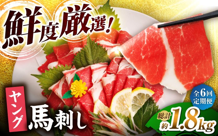 
                  【6回定期便】ヤング馬刺し 計300g（3pc）＋タレ小 馬刺し ヤング 馬刺し 馬肉 桜肉 馬 肉 便利 小分け 3パック タレ付き コリコリ 歯ごたえがある 首周りのお肉 冷凍 生食 肉食 刺身 九州 熊本県 特産品 山鹿 送料無料 【馬刺しの郷 民守】[ZBL074]
                
