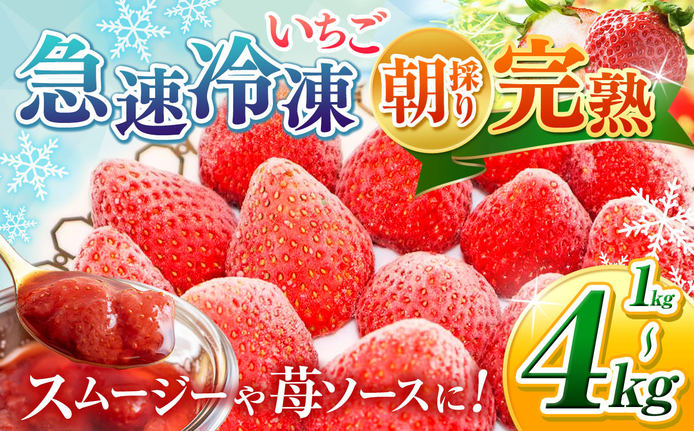 
            【選べる 容量！】 完熟・急速冷凍いちご 1kg～4kg  | 渡邉いちご園 苺 いちご イチゴ 果物 フルーツ ふるーつ 冷凍 いちご れいとう イチゴ 果実 果汁 冷凍 冷凍食品 冷凍いちご 朝採り 完熟 新鮮 スムージー オススメ 千葉県 君津市 きみつ
          