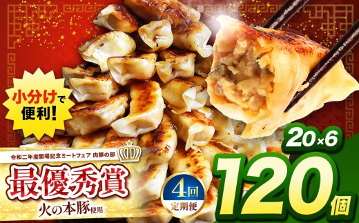 【 定期便4回 】 火の本豚餃子 （20個×6パック）120個入 | 熊本県 熊本 くまもと 和水町 なごみ 豚肉 火の本豚 地域ブランド ギョウザ ぎょうざ 20個 6パック 120個 冷凍餃子