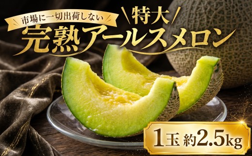 ＼まもなく発送／ 完熟 アールスメロン 特大1玉 2.5kg 2026年産 大玉メロン 贈答用 秀品 青肉 果物 フルーツ 茨城県産 期間限定 数量限定 完熟 果物 くだもの 旬 人気 おすすめ フルーツ ふるーつ デザート スイーツ 果実 果汁 贅沢 ご褒美 プレゼント 贈答用メロン完熟 2026年産 メロン melon 青肉 果物 フルーツ 茨城県産 期間限定 数量限定 茨城県 筑西市 関東