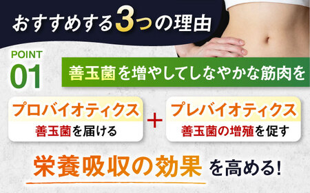 【アルプロン】【全12回定期便】プロテイン IZMO ATHLETE PROTEIN BIO チョコミルク 900g ホエイプロテイン [AIAL101]