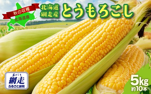 【先行予約】北海道網走産とうもろこし5kg（約10本）【 ふるさと納税 人気 おすすめ ランキング トウモロコシ 野菜 新鮮 オホーツク 北海道 網走市 送料無料 】 ABAO160