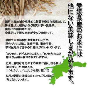 【無洗米】ひのひかり 約5kg ( お米 愛媛県産米 ふるさと納税お米 こめ ご飯 ご飯のおとも)【VEG051musen】