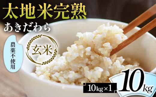 2024年産 農薬不使用 太地米完熟 【あきだわら】 玄米 10kg ブランド米 お米 玄米 人気 F7X-0326