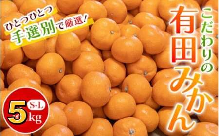 ■こだわりの和歌山県産 有田みかん 5kg（S～Lサイズ） ひとつひとつ手選別で厳選！生産者から直送 【11月中旬～1月中旬頃に順次発送分】/ みかん フルーツ 果物 くだもの 有田みかん 蜜柑 柑橘 【hdm004-r-5】