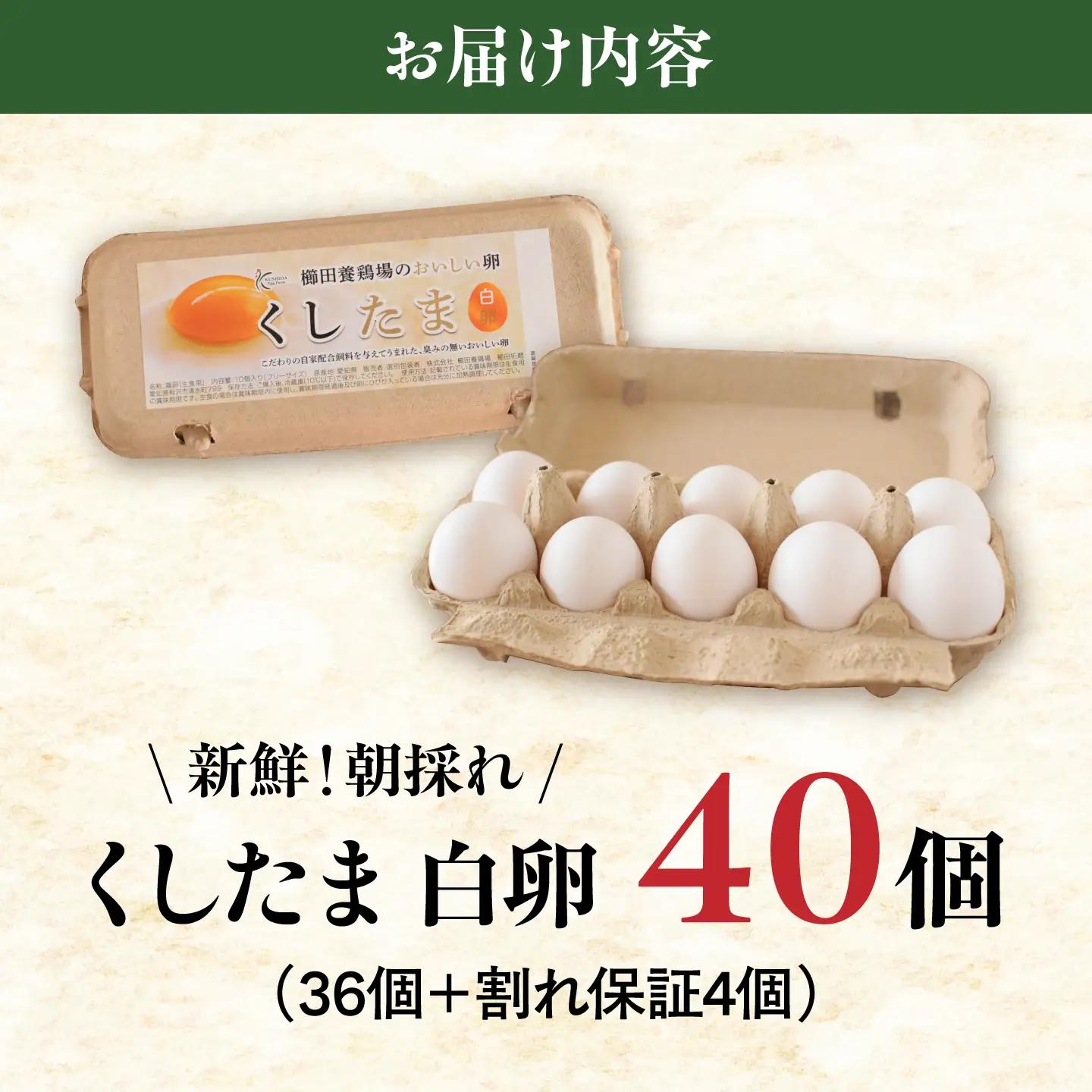 くしたま白卵 40個（36個＋割れ保証4個）/ 卵 たまご 鶏卵 白卵 / 稲沢市 / 櫛田養鶏場[BMAY005]