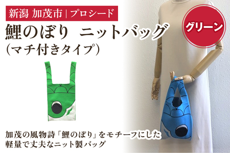 鯉のぼり ニットバッグ（マチ付きタイプ）【グリーン】《タテ42×ヨコ20×マチ7（㎝ ） ※持ち手込み》 ニット バッグ 水洗い可能 丈夫で軽量なバッグ 加茂市 プロシード