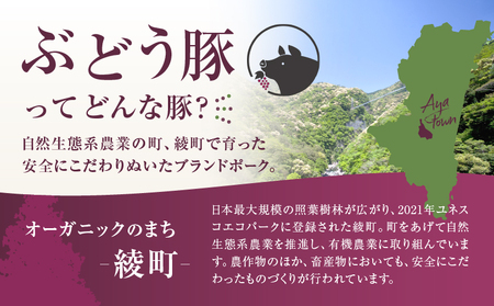 綾ぶどう豚やわらか味噌 食べつくし3種セットB（36-212）