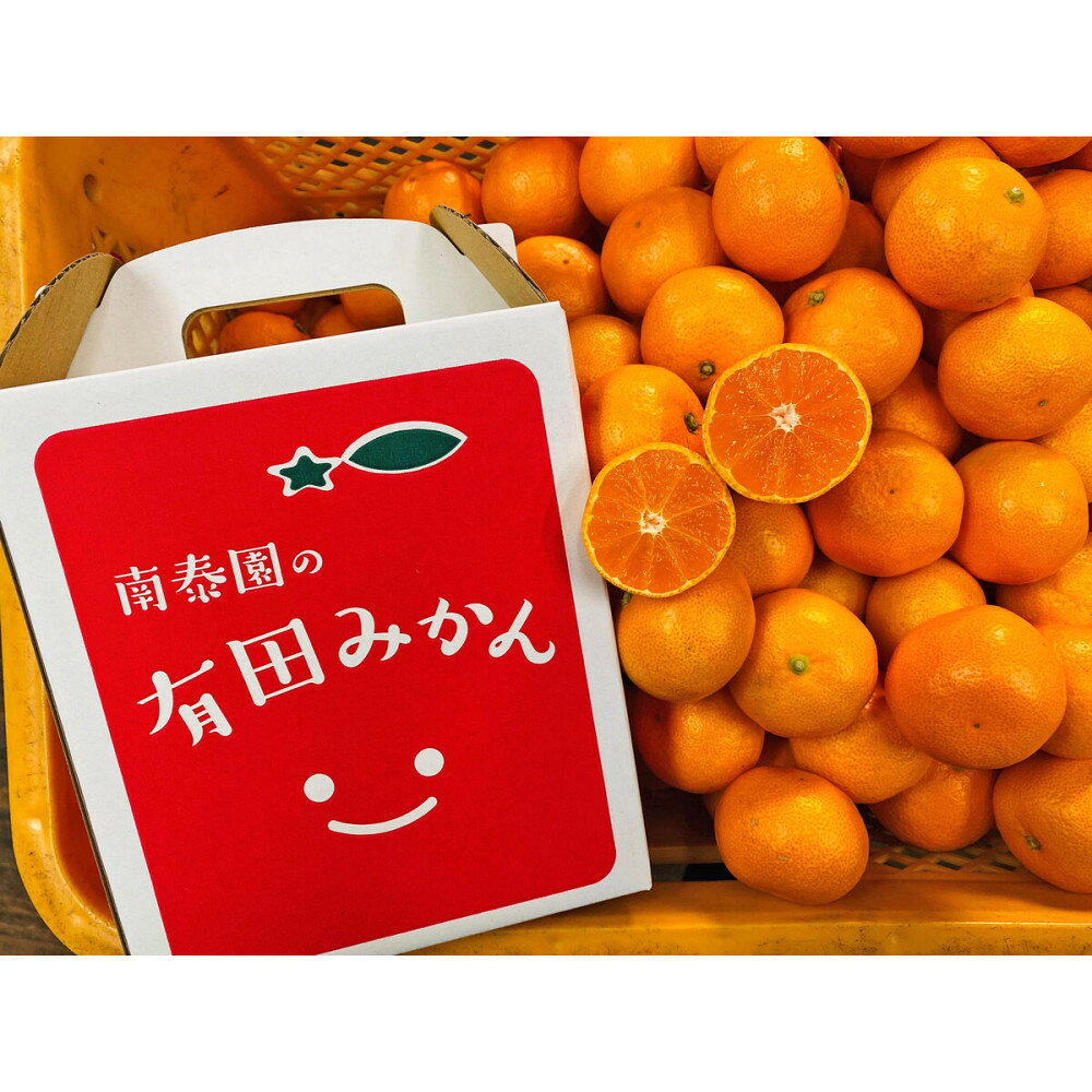 【ふるさと納税】有田みかん 小玉ちゃん 等級混合 2.2kg 小玉2S～4Sサイズ混合 和歌山 南泰園 みかん | 有田みかん 農家直送 直送 みかん 小玉 ミカン 有田 有田川 ありだ 和歌山 フルーツ 果物 南泰園 甘い 濃厚 コク お取り寄せ グルメ 糖度 生産者 プレゼント