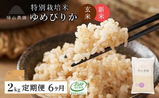 【新米予約】【6カ月定期便】特別栽培米産地直送「玄米ゆめぴりか 2kg」《帰山農園》