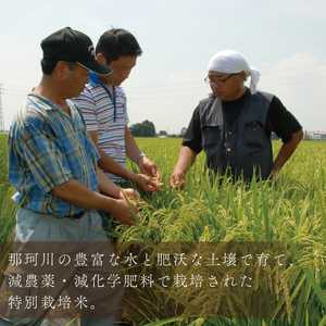 【3ヶ月定期便】【令和7年産】特別栽培米コシヒカリ「風彩常澄」計15kg（5kg×3回）【最高 ランク 特A コシヒカリ 水戸市 オリジナル ブランド 農林水産省大臣賞受賞 減農薬 減化学肥料 栽培 