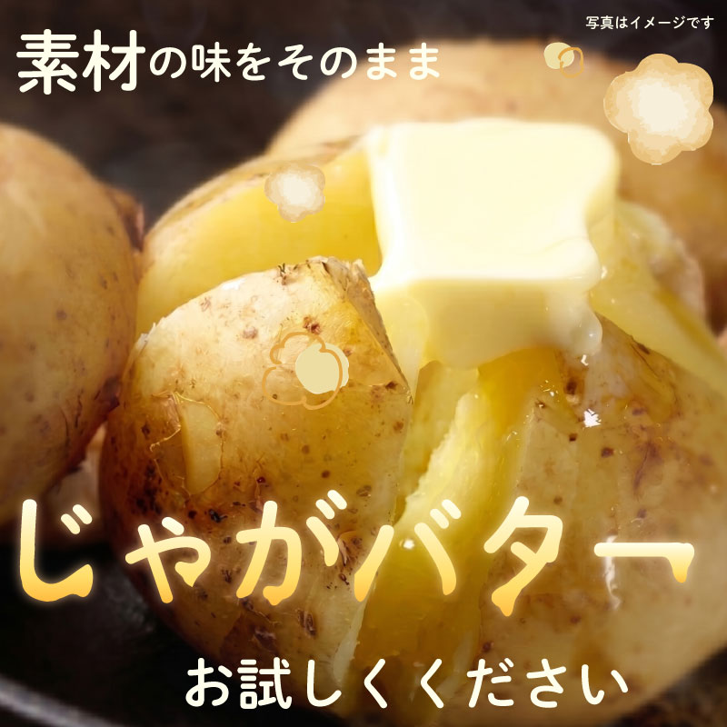 【先行予約 2027年3月順次発送 国産 じゃがいも】掘りたてメークイン 4kg  新じゃが 国産 牧之原産  丸新柴本製茶 静岡 県 牧之原市