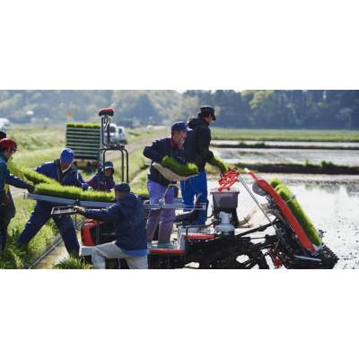 ふるさと納税 南陽市 【令和7年産】山形県産　特別栽培米　ミルキークイーン5kg(精米)(10月下旬以降)【S1549】 |  | 01