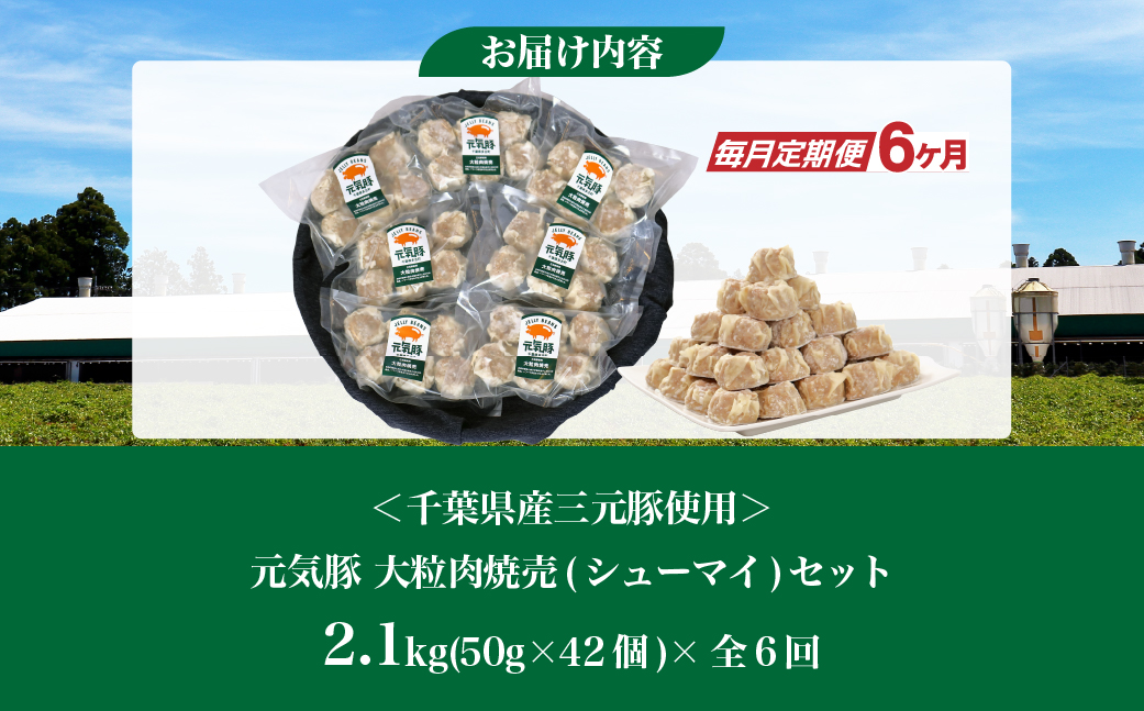【毎月定期便】元気豚 大粒肉焼売セット 42個セット(計2.1kg)全6回【配送不可地域：離島・沖縄県】【4055282】 TAKB064