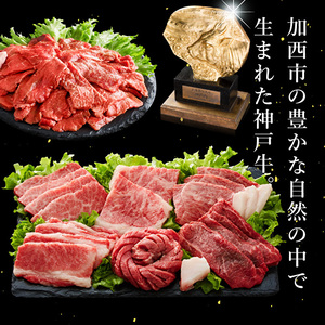 神戸牛 定期便 4ヶ月 満足 4種 神戸ビーフ 神戸牛