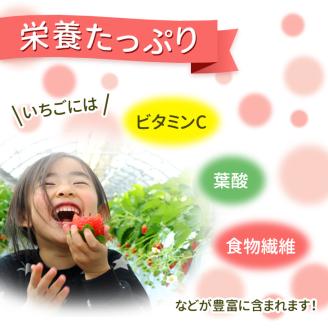 【1月発送】【先行予約】【数量限定】とちおとめ　280g × 4パック｜いちご イチゴ 苺