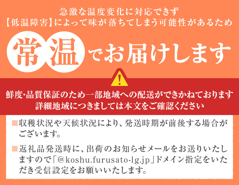【訳あり】旬の採れたてシャインマスカット 1kg以上 2～3房【2026年発送】（HO）A05-1410