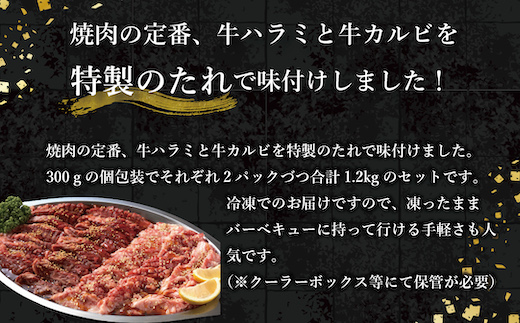 牛焼肉味付けセット　EZ003