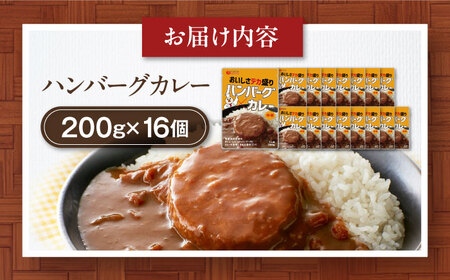 ハンバーグカレーセット 16食入り[AGDT030] ハンバーグ