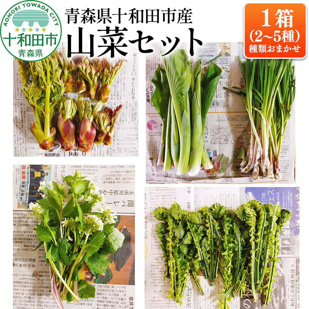 【ふるさと納税】【2027年4月発送・先行受付】青森県十和田市産 山菜セット（2〜5種類 種類おまかせ）【選べるサイズ：ミニサイズ／通常サイズ】1箱 [今が旬 詰め合わせ タラの芽 うど わらび ふき クレソン こごみ]