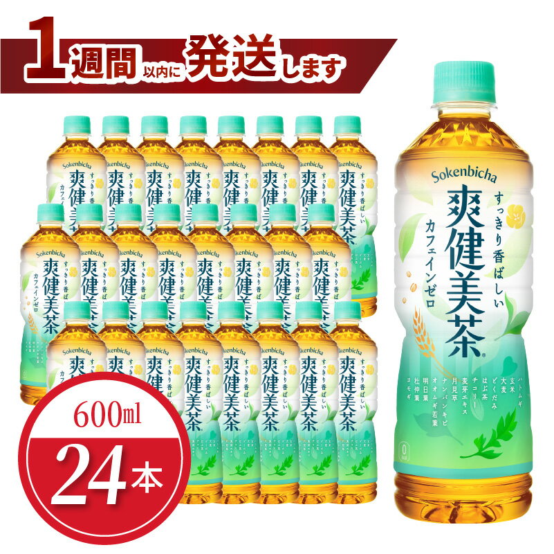 【ふるさと納税】爽健美茶 PET 600ml 24本入 1ケース ノンカフェイン ペットボトル 飲料 ドリンク お茶 ブレンド茶 植物の恵み アレルギー特定原材料等28品目不使用 コカ・コーラ 水分補給 常備 備蓄 保存 リサイクル 人気 おすすめ お取り寄せ 買い置き 送料無料