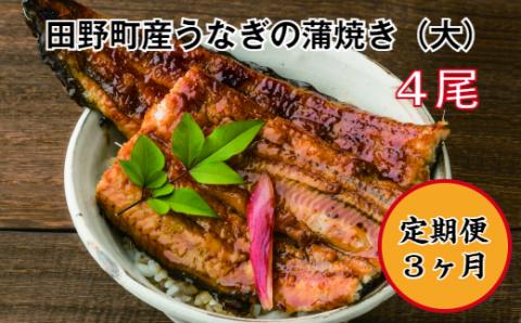 【四国一小さなまち】　田野町産うなぎの蒲焼き（大）　４尾　〈定期便：３ヶ月〉　※冷凍※