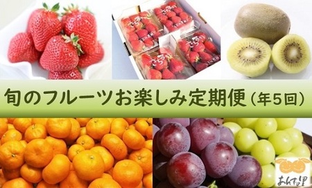 【年5回】旬のフルーツ定期便★あんずの里【随時開始】[G7032]