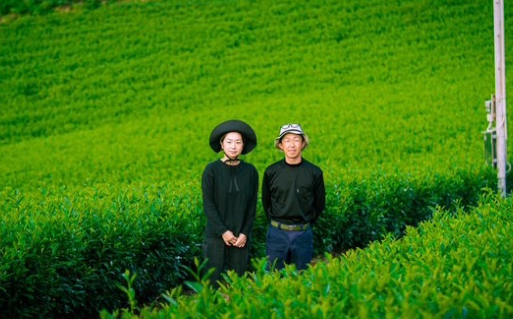 八女茶たつみ園白折