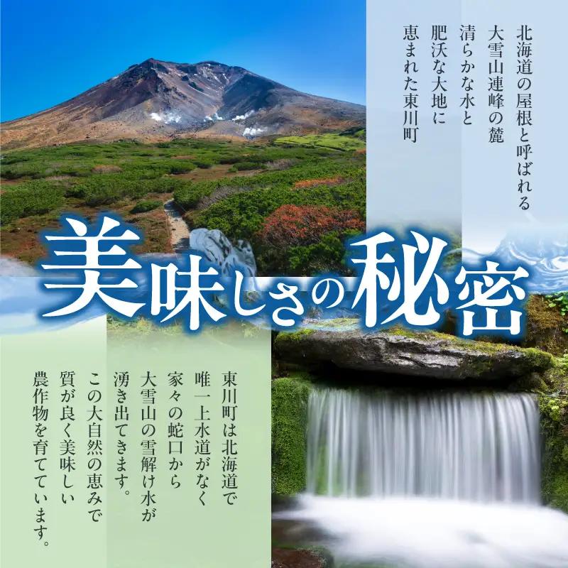 【大坪農園】夏の恵み　北海道東川町産　スイートコーン10本入り