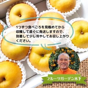 ＜2025年９月～発送＞【河内長野産】天野の梨　8~11玉 期間限定 フルーツ 果物 なし 旬 河内長野 送料無料 ※発送前の注意事項を十分ご確認ください※