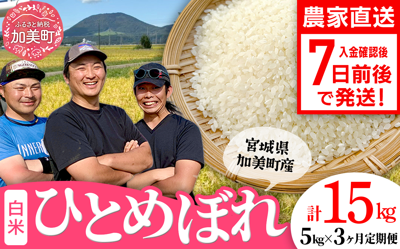 先行予約（2026年10月中旬～発送）【5kg×3回 計15kg】 米 宮城県産 ひとめぼれ 5kg 定期便 《 令和8年産 》 白米 精米 ご飯 ごはん コメ こめ お米 小分け 家庭用 結心ファー