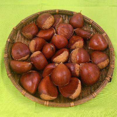 ふるさと納税 高森町 【数量限定】南信州産の栗2kg(丹沢とぽろたんのセット) |  | 03