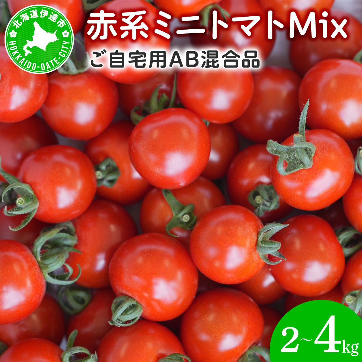 【ふるさと納税】赤系ミニトマトMix 2〜4kg