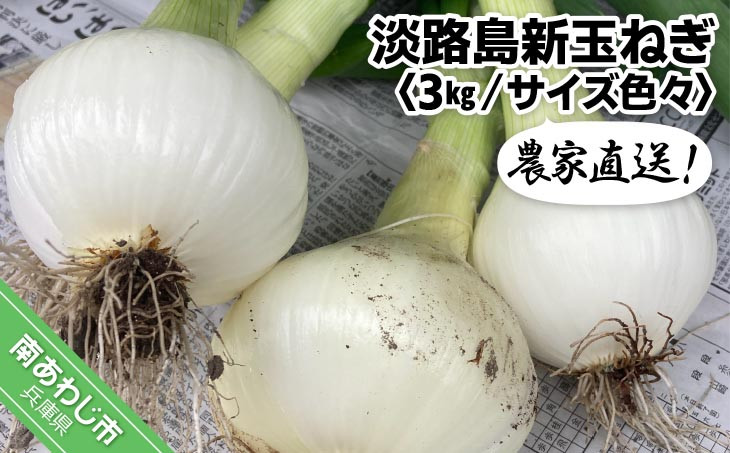 
            農家直送！淡路島新玉ねぎ ≪３kgサイズ色々≫
          