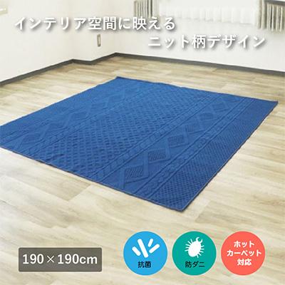 ふるさと納税 泉大津市 ニット柄ループラグ【NT-9000】190×190 ネイビー