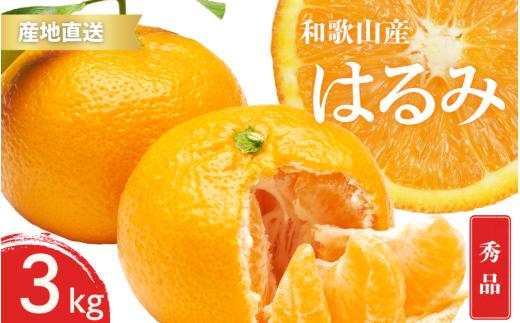 【先行予約】秀品 はるみ 和歌山 有田 S～2Lサイズ 大きさお任せ 3kg【1月下旬～3月下旬までに順次発送予定】/ みかん フルーツ 果物 くだもの 蜜柑 柑橘【ktn046】