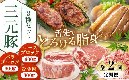 【全2回定期便】 三元豚 ロース・バラブロック各600g・ひき肉300g 《喜茂別町》【平田牧場】 肉 豚肉 ブロック ステーキ ステーキ用 ロース ロースステーキ バラ とんかつ ミンチ 豚ミンチ[AJAP046]