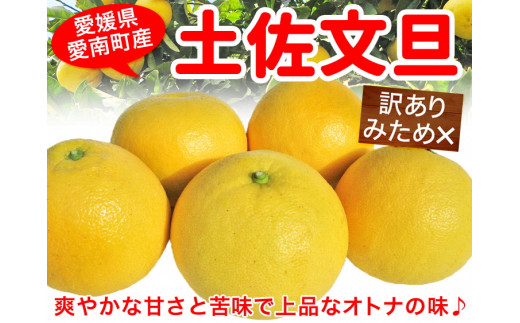 
先行予約 訳あり 木取り 完熟 土佐文旦 5kg 清家ばんかんビレッジ みかん 蜜柑 家庭用 わけあり 大きさ 不揃い サイズミックス フルーツ 果物 くだもの 柑橘 愛媛県 愛南町 発送: 2024年2月5日～3月31日
