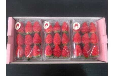 《2026年産先行予約》「西脇市産 佐藤果実工房 あまクイーン」（約270g×３パック 約810g）【佐藤果実工房 全国いちご選手権3年連続上位入賞農園 TVで紹介!】令和８年２月中旬配送分　09-4