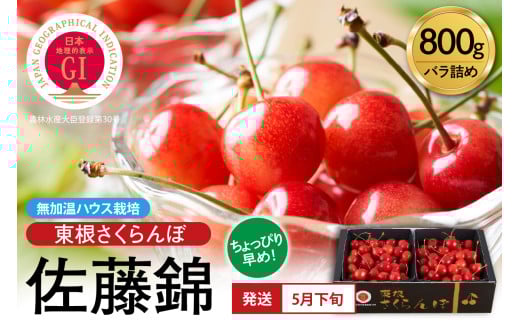 【2026年産 先行予約】先取り！無加温ハウス栽培 GI 「東根さくらんぼ」佐藤錦 800gバラ詰め JA園芸部提供 山形県 東根市 hi001-038