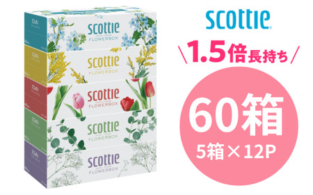 スコッティ ティシュー フラワーボックス 250組 60箱（5箱×12パック）【申込受付から30日程度で発送】（大容量 ティッシュペーパー 長持ち ティッシュペーパー コンパクト ティッシュペーパー 日用品 ティッシュペーパー雑貨 ティッシュペーパー 備蓄  ティッシュペーパー 人気  ティッシュペーパー ティッシュ 日用品 ティッシュ 日用品 ティッシュ）