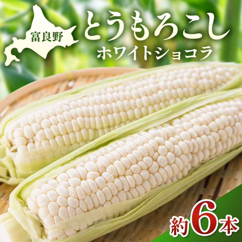 【2026年夏発送】富良野産 とうもろこし ホワイトショコラ 約6本 [近藤農園] とうもろこし コーン とうきび 野菜 新鮮 甘い 贈り物 ギフト 道産 ジューシー ふらの ブランド 夏 北海道 富良野市