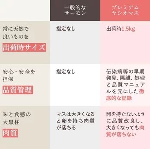 【【国産】高級サーモン】【皮なしフィレ 約500g×2枚】産地直送 おつまみ 高級 ※沖縄・離島への配送不可