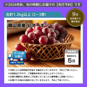 ＜2026年発送分 先行予約＞ピオーネ 1.2kg以上（2?3房）025-a022