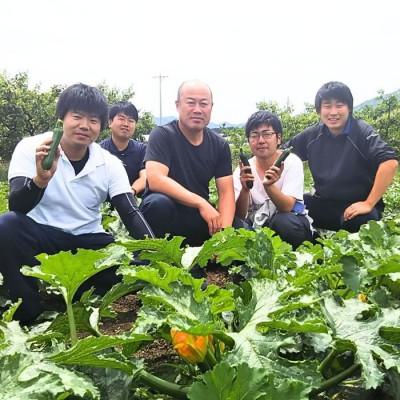 ふるさと納税 豊丘村 【南信州産】ズッキーニ　約2kg(11〜13本入り)6月上旬から順次発送 |  | 01