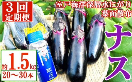 【3回定期便】 農家直送　土佐の美味茄子の新鮮ナス　1.5kg　（室戸海洋深層水にがり使用） 野菜 なす ナス 常温 小袋 国産 夏野菜 茄子 小分け 旬 15000円 高知 bn020