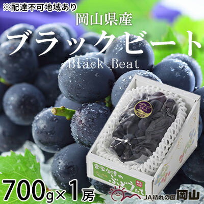 【ふるさと納税】ぶどう 2026年 先行予約 ブラックビート 約700g×1房 ブドウ 葡萄 岡山県産 国産 フルーツ 果物 ギフト 岡山のぶどう 岡山の果物 デザート 食後 種無し 大粒 甘味 酸味 バランス 　お届け：2026年8月中旬〜2026年9月上旬