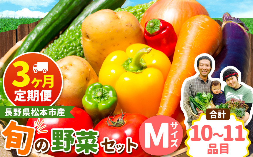 
【定期便3回】子育て農家の野菜セット（Mサイズ）農薬・化学肥料不使用 | 定期便 無農薬 野菜 やさい 長野県 松本市 信州産 ふるさと納税
